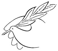 نویسنده سئوکار